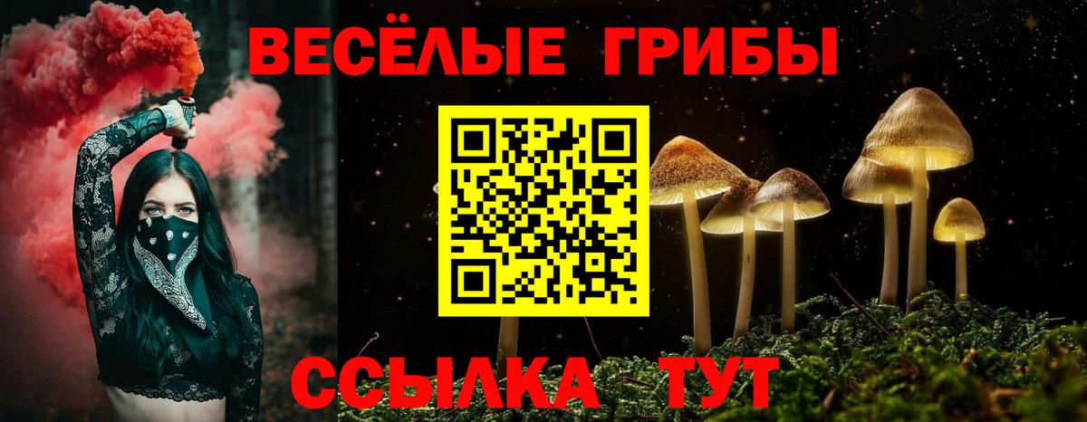 Галлюциногенные грибы мухоморы  Галлюциногенные грибы Psilocybine cubensis  Вход с VPN  Ртищево 