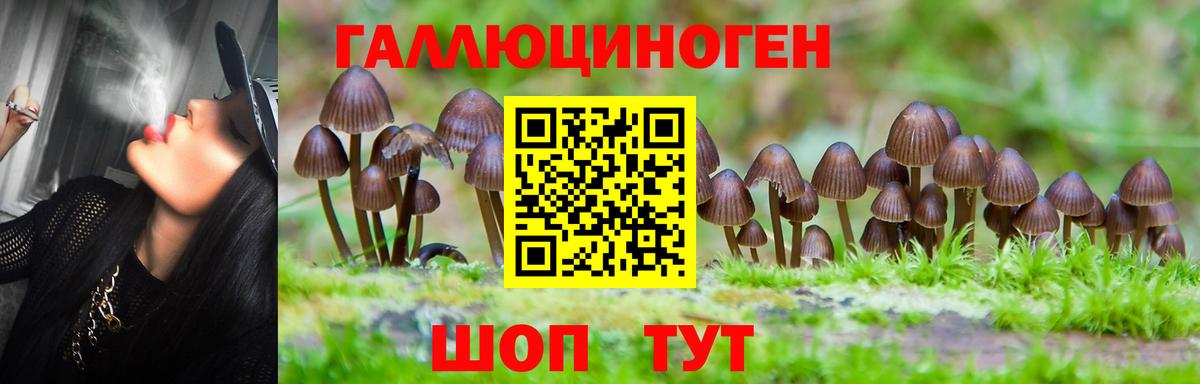 Галлюциногенные грибы ЛСД Ртищево